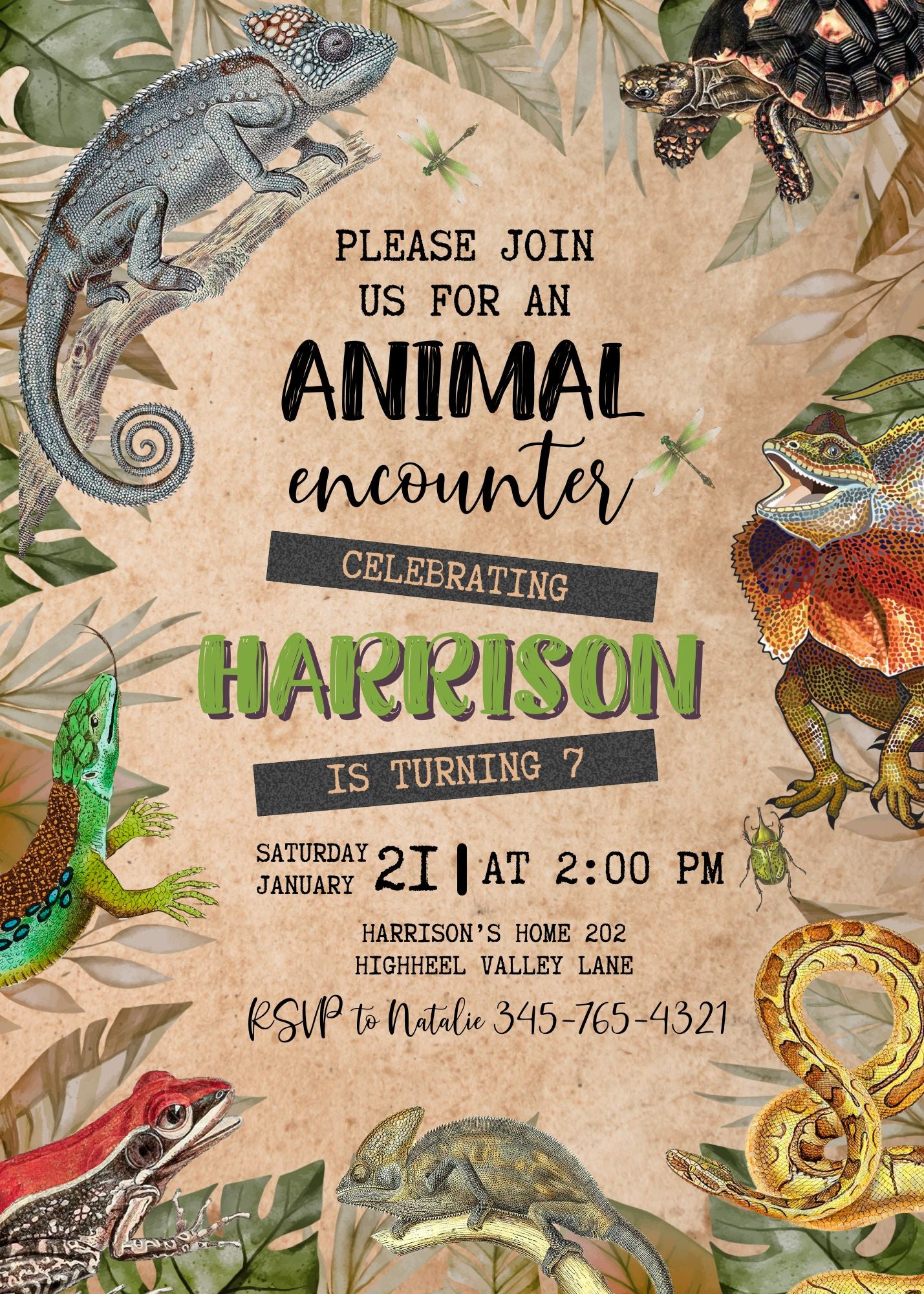 Reptile Lizard Snake personizable birthday invitation template, instant download, II246