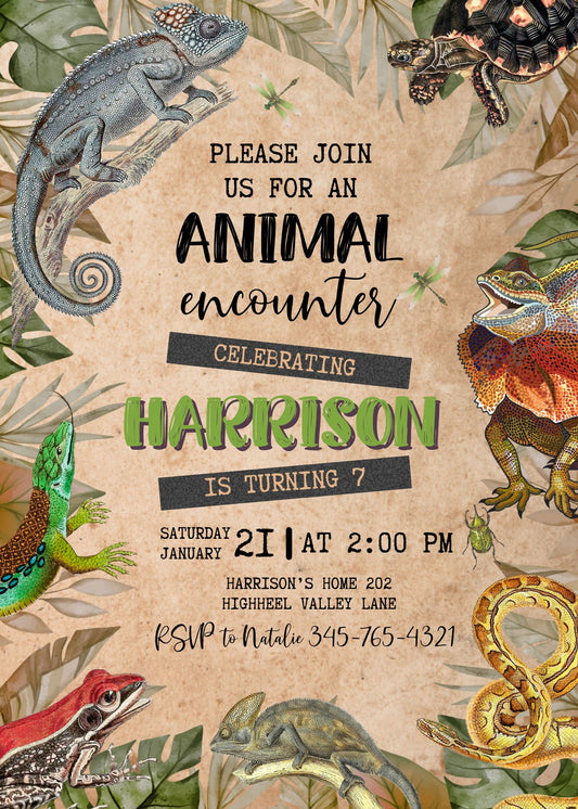 Reptile Lizard Snake personizable birthday invitation template, instant download, II246